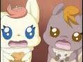 【短縮ＰＤ版】　プリキュア５　49話　最終回・後編