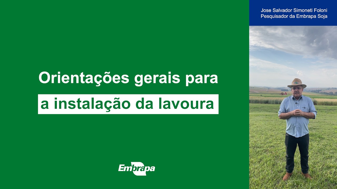 Orientações gerais para a instalação da lavoura de soja