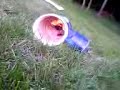 Potato Gun Explosion