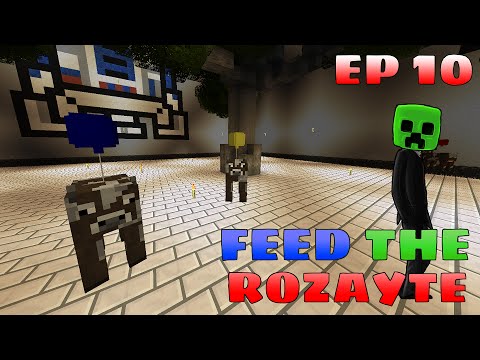 Feed The Rozayte - EP 10 : Un peu de déco !