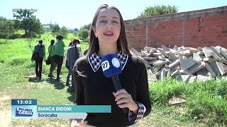 Mutirão em Sorocaba: cidade realiza ações para conter escorpiões