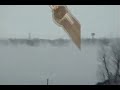 FAIT FRETTE AU QUEBEC FAIT FRETTE AU QUEBEC