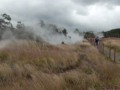 Volcano National Park, Hawaii