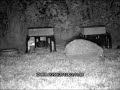 Click here to watch this video HedgyCam 21-05-2012