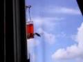 The Humming Bird