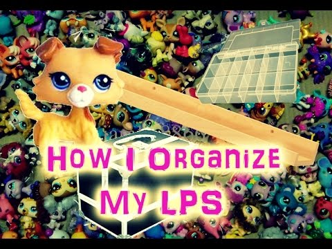 how to organize vinyl records