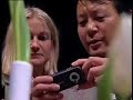 Nokia World 2006 B-roll - Part 1