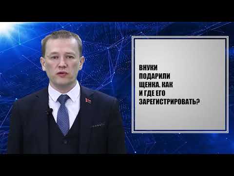 Правовая консультация. Выпуск 20. 22.05.26