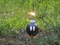 [Video]
