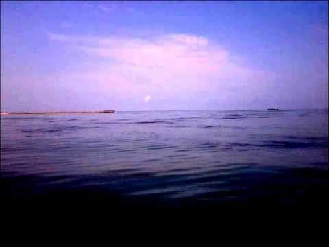 Pollution marine