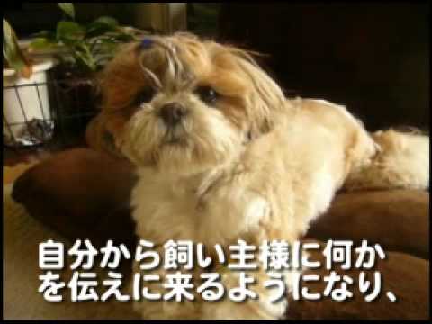 イフペンダント効果・口コミ・評判４