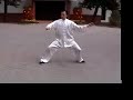 master zhang from henan, china continued