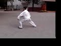 master zhang from henan, china continued