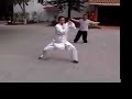 master zhang from henan, china continued