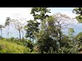 bosque del cabo view