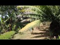 bosque del cabo view