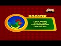 Animal Sounds in Hindi - Rooster