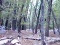 2008-05-31 | Corral Sidewinder ~> mountain biking near South Lake Tahoe...mountain biking downhill tahoe (04:54)