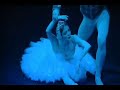 hurt swan lake (part1)