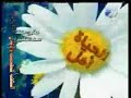 ابراهيم الفقى 1