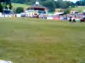 Welsh Cob Sec D Senior Stallion Class at the royal welsh2008
