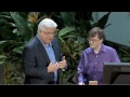 Vídeo de la Blackberry Playbook en acción
