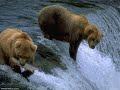 diapos paysage.mp4