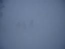 August whiteout