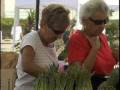 videos de GreenMarket Opens 101808 news story.wmv