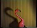 The Pelican Kidnappings