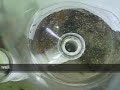 shrimp larvae trap shrimp larvae trap