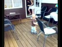 Ugen der gik: 10 - Sommerferie 2008