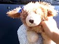 Sophie the Cocker Spainel in Webkinz Wash A Car Part1