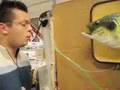 新着&人気動画 (12/24 20時)