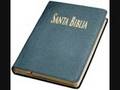 SANTA BIBLIA