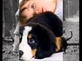Filme_sheila.wmv