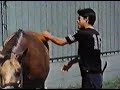 MOTIVACION INTERACTIVA