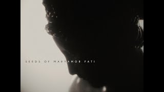 Amor Fati