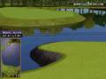 Golden Tee Great Shot on Sunny Wood!