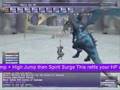 Dragoon Koryuus Maat Fight