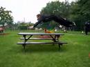 parkour parkour