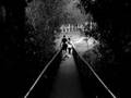 Assistir ao v�deo