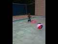Adrian at pool