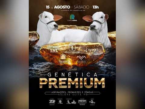 Leilão Genética Premium