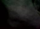 reunion-guachaca-pg-100508-parte-2.html
