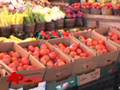 FDA Still Seeking Salmonella Origin in Tomatoes
