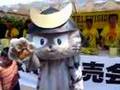 24時間TVで募金活動中のしまさこにゃん
