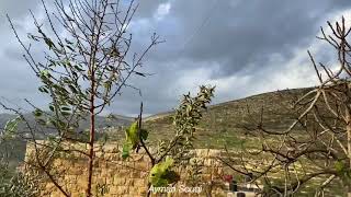 نصف جبيل / نابلس Palestine