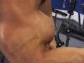 Bodybuilder-Craig-To