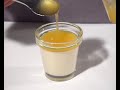 Anne Cazor de la société Cuisine Innovation explique une technique de gélification qui permet de réaliser des flans 